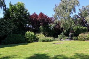 Garten mit Baumbestand