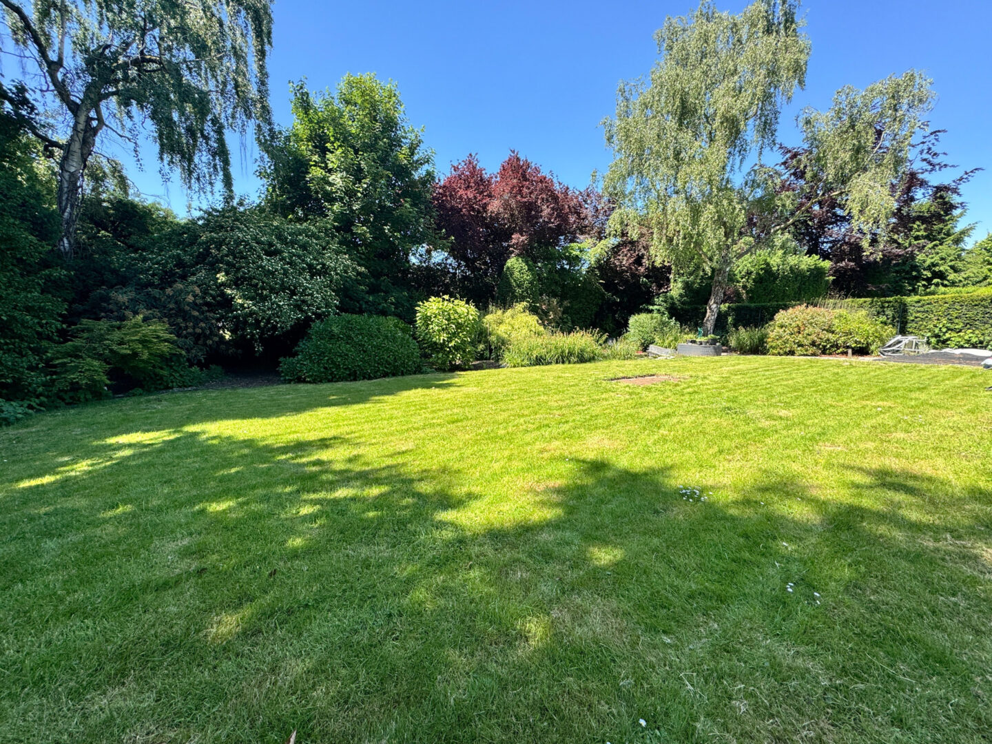 Blick in den Garten aus dem Wohnraum