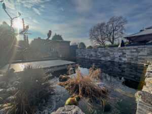 Schwimmteichanlage mit Gerätehäuschen